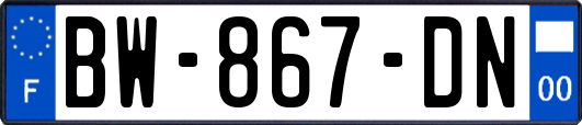 BW-867-DN