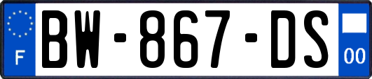 BW-867-DS