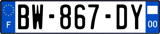 BW-867-DY