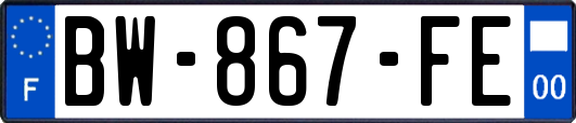 BW-867-FE