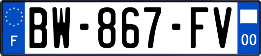 BW-867-FV