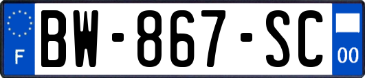 BW-867-SC