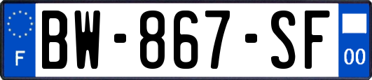 BW-867-SF