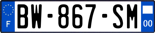 BW-867-SM