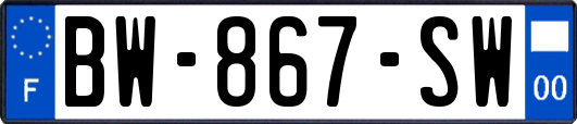 BW-867-SW