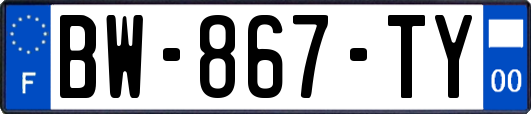 BW-867-TY