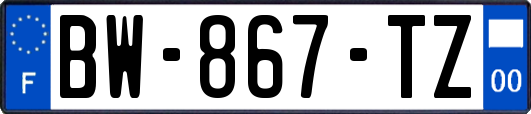 BW-867-TZ