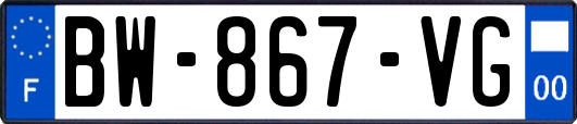 BW-867-VG