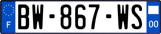 BW-867-WS
