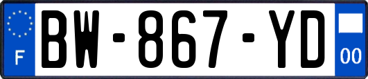 BW-867-YD