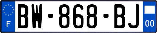 BW-868-BJ