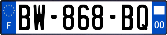 BW-868-BQ