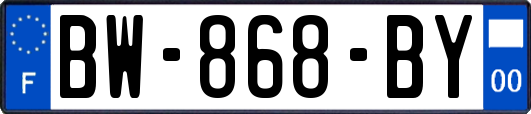 BW-868-BY