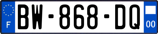 BW-868-DQ