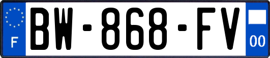 BW-868-FV