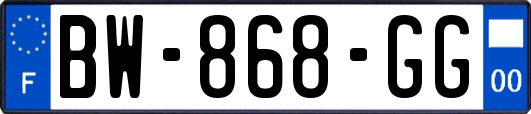 BW-868-GG
