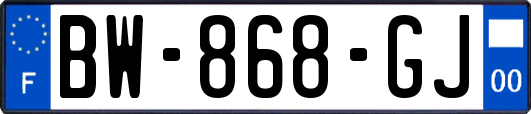 BW-868-GJ