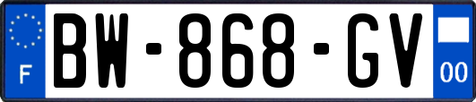 BW-868-GV
