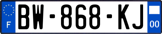 BW-868-KJ
