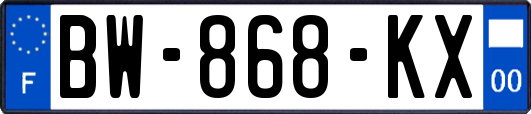 BW-868-KX