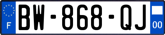 BW-868-QJ