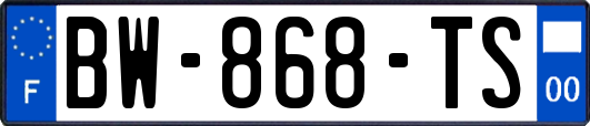 BW-868-TS