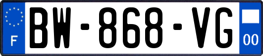 BW-868-VG