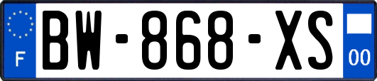 BW-868-XS