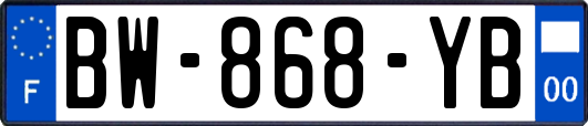 BW-868-YB