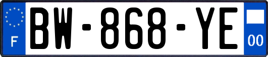 BW-868-YE