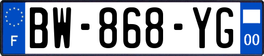BW-868-YG