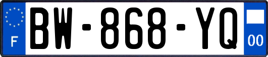 BW-868-YQ