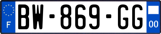 BW-869-GG