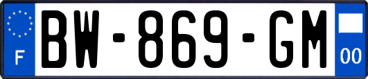 BW-869-GM