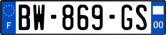 BW-869-GS