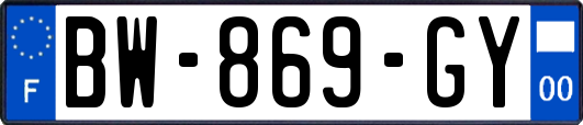 BW-869-GY