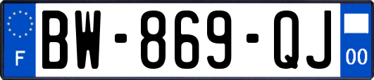 BW-869-QJ
