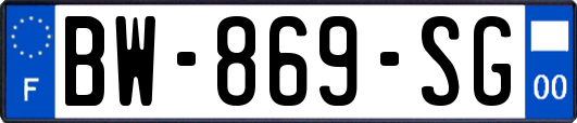 BW-869-SG