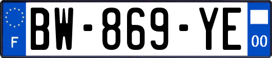 BW-869-YE
