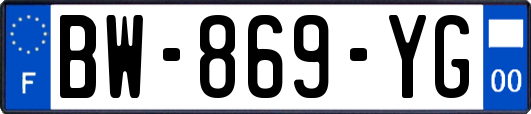 BW-869-YG