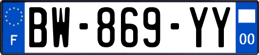BW-869-YY