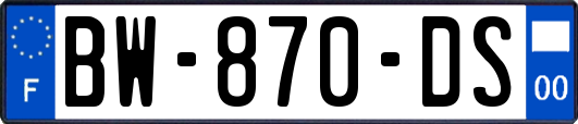 BW-870-DS