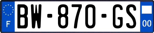 BW-870-GS