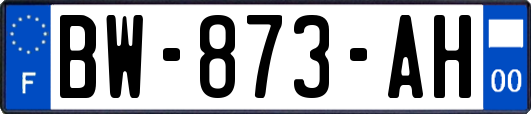 BW-873-AH