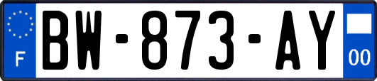 BW-873-AY