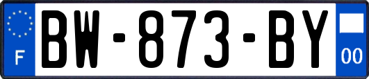 BW-873-BY