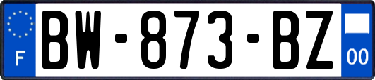 BW-873-BZ