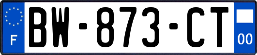 BW-873-CT