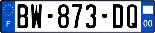 BW-873-DQ