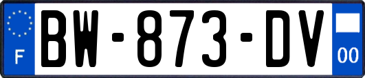 BW-873-DV